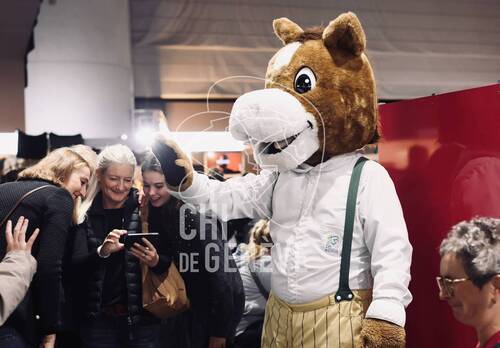 Description de l'image