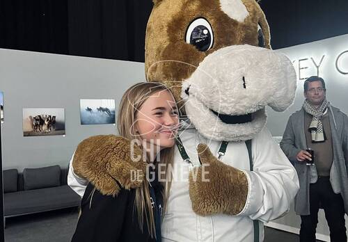 Description de l'image