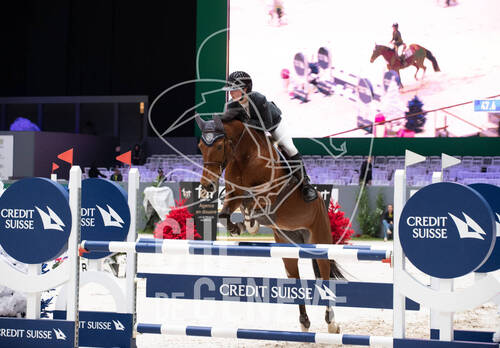 Description de l'image