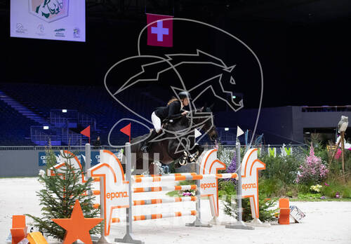 Description de l'image