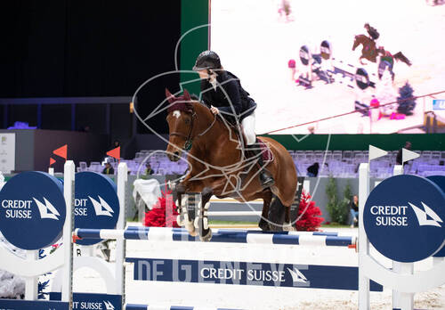 Description de l'image