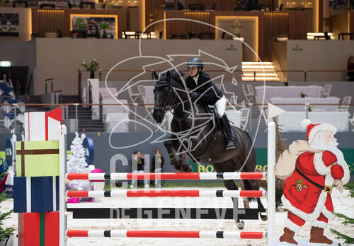 Description de l'image