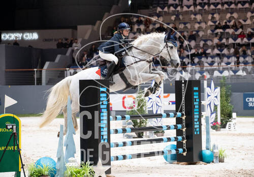 Description de l'image