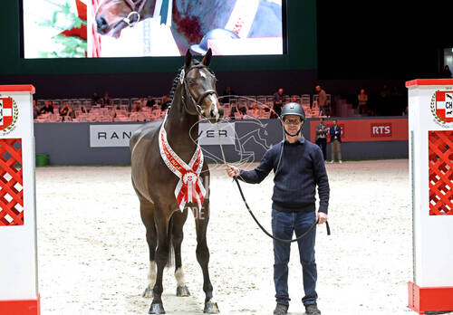 Description de l'image