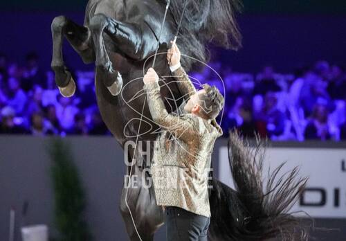 Miron BOCOCI and his horses during the day 5 of Rolex Grand Slam of Show Jumping 2024 at Palexpo on December 15, 2024 in Geneva, Switzerland. (Photo by Pierre Costabadie/Icon Sport)