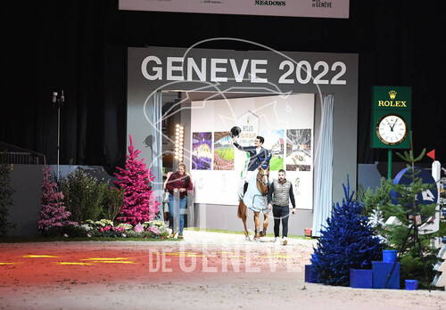 Description de l'image