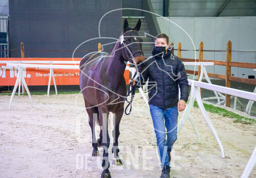 Optimized by JPEGmini 3.18.4.211163429-AP 0xcc8fe012