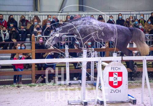 Optimized by JPEGmini 3.18.4.211163429-AP 0x9ce5ef52