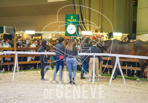 Optimized by JPEGmini 3.18.4.211163429-AP 0xbb05094d