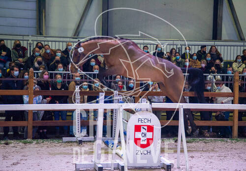 Optimized by JPEGmini 3.18.4.211163429-AP 0xddcb243d