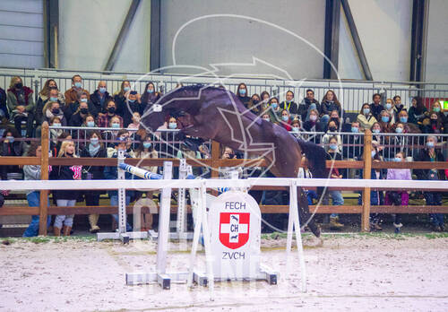 Optimized by JPEGmini 3.18.4.211163429-AP 0xdf638f05