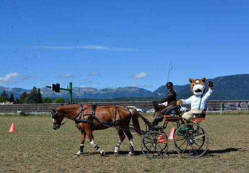 Description de l'image