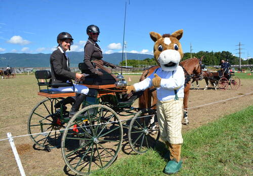 Description de l'image