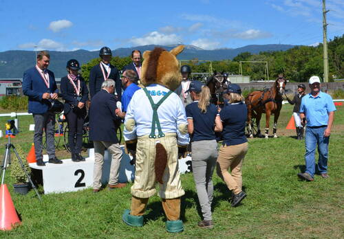 Description de l'image