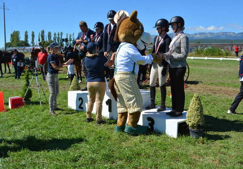 Description de l'image