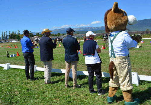 Description de l'image