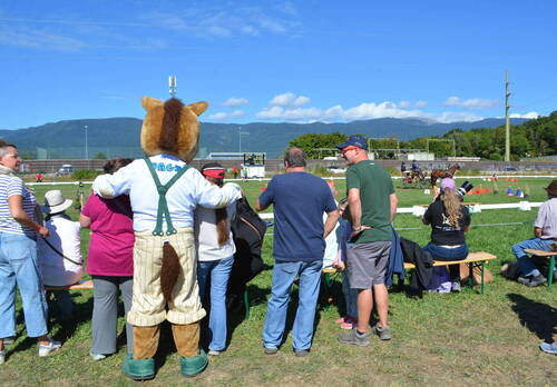 Description de l'image