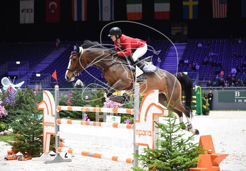 Description de l'image