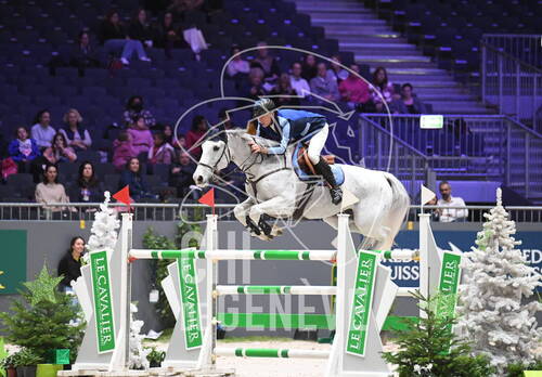 Description de l'image