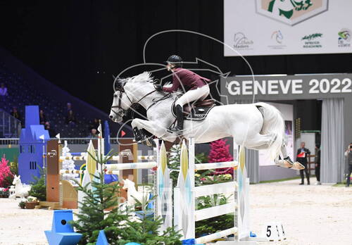 Description de l'image