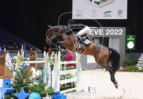 Description de l'image