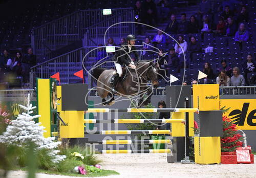 Description de l'image