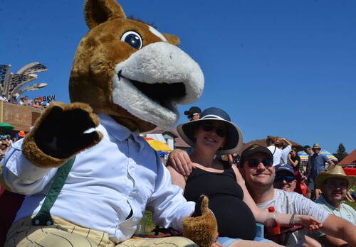 Description de l'image