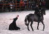 Spectacle equestreCHIG_Palexpo Genève  08 décembre 2023