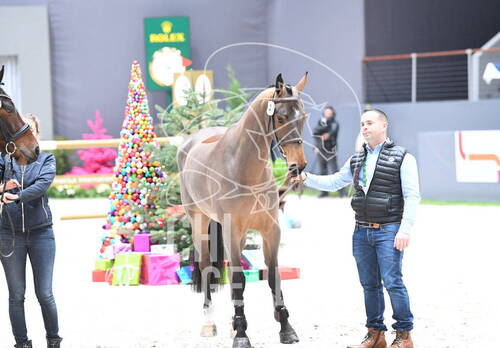 Description de l'image