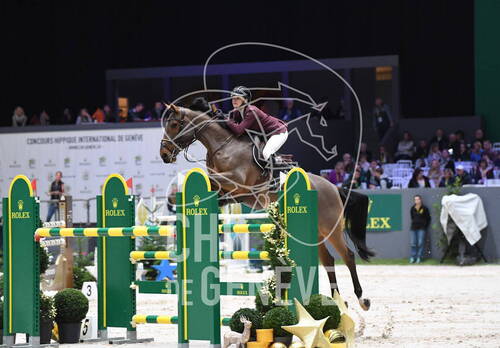 Description de l'image