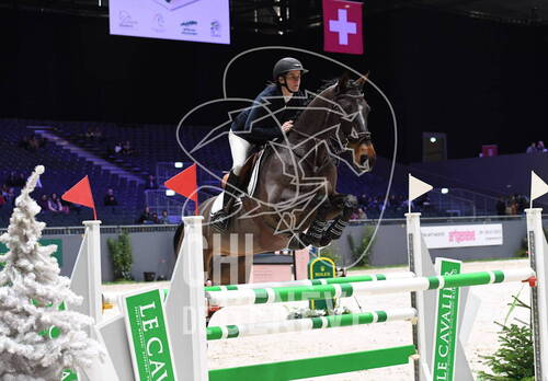 Description de l'image