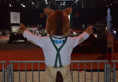 Description de l'image