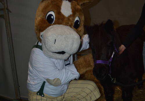 Description de l'image