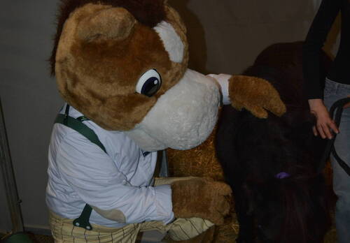 Description de l'image