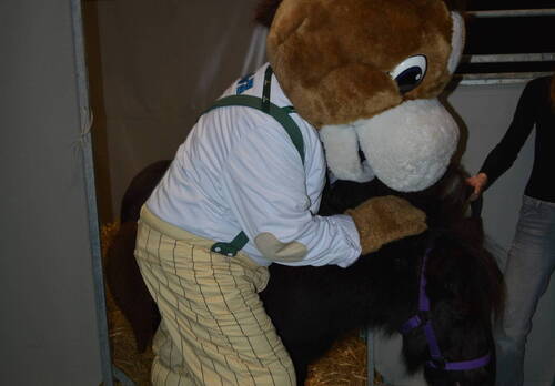 Description de l'image