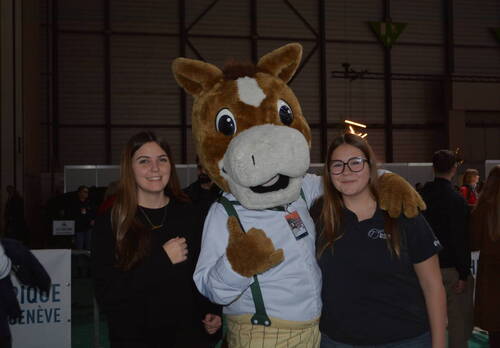 Description de l'image