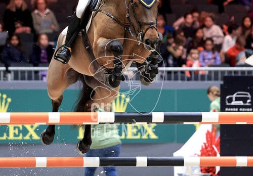 Description de l'image