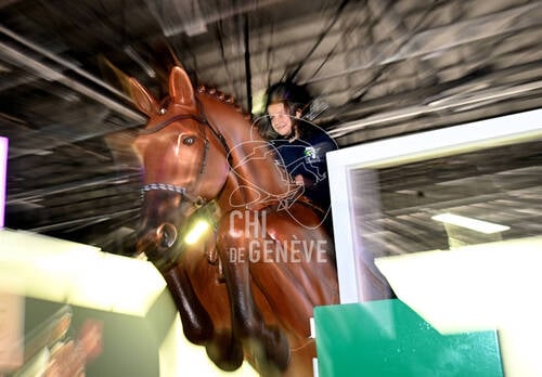 Description de l'image