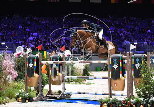 Description de l'image