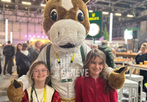 Description de l'image