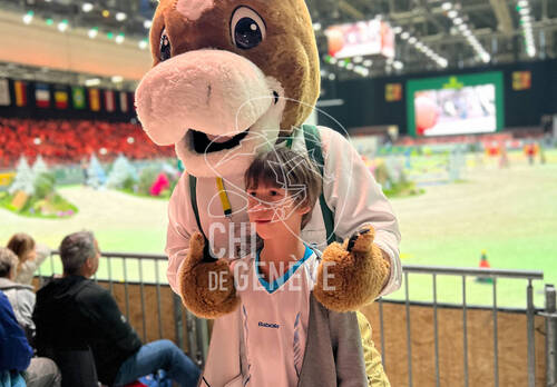 Description de l'image