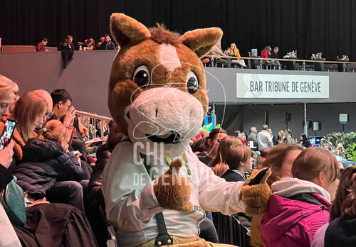 Description de l'image