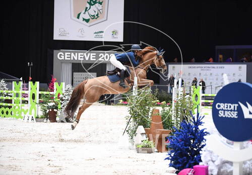 Description de l'image