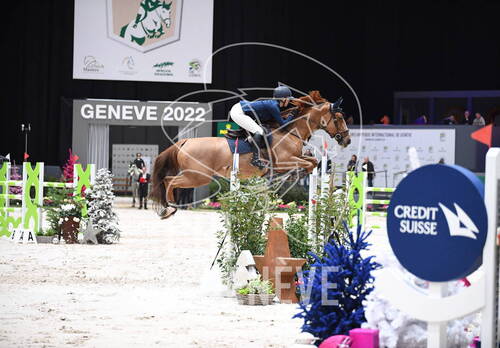 Description de l'image