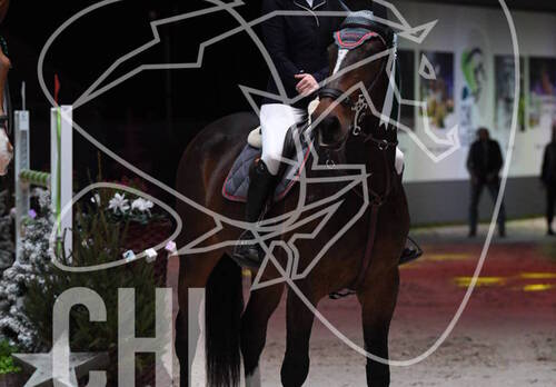 Description de l'image