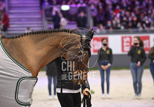 Optimized by JPEGmini 3.18.4.211163429-AP 0xc187751a