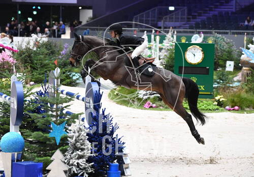 Description de l'image