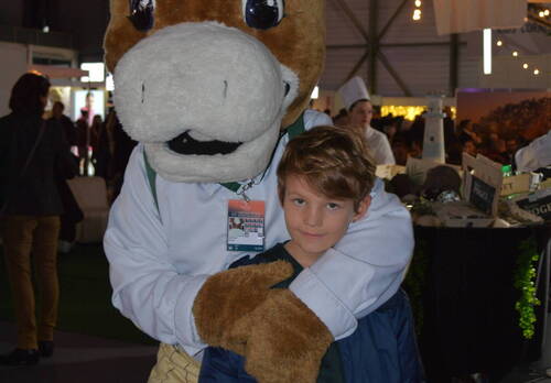 Description de l'image