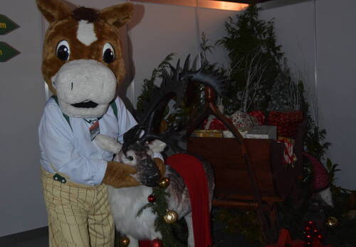 Description de l'image