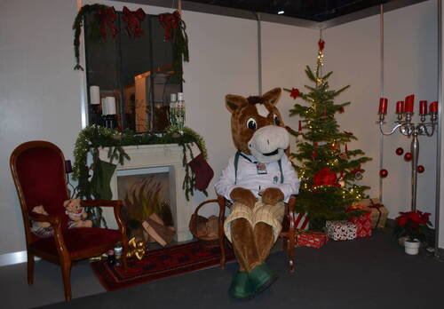 Description de l'image